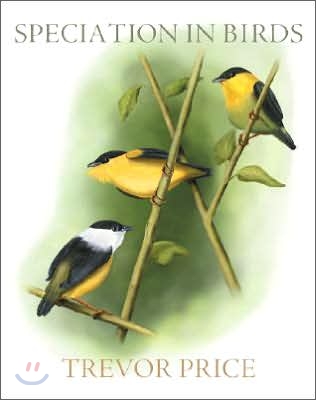 Speciation in Birds