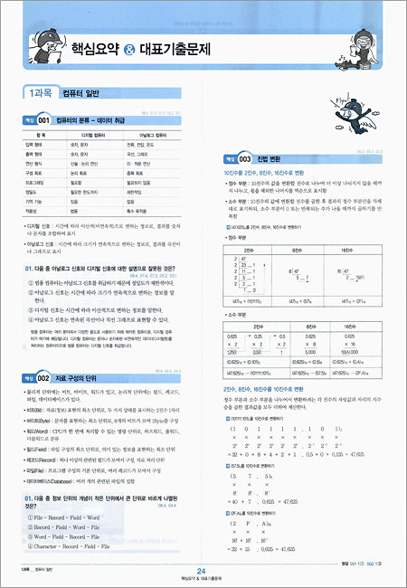 2010 시나공 총정리 컴퓨터 활용능력 1급 필기 (2,3급포함)