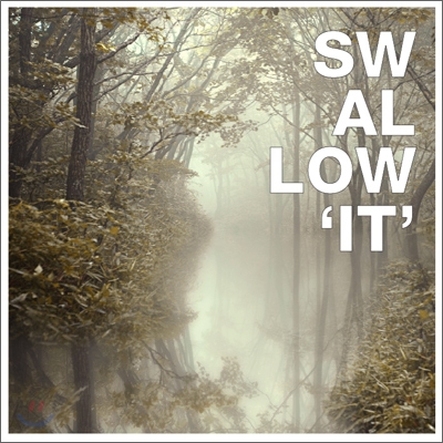 Swallow 3집 - It