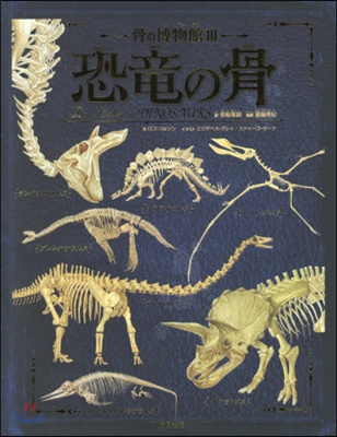 骨の博物館(3)恐龍の骨