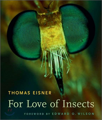 For Love of Insects