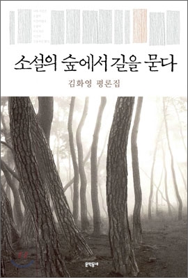 소설의 숲에서 길을 묻다 (김화영 평론집) - 김화영(명예교수) 저 | 문학동네