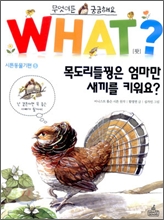 목도리꿩은 엄마만 새끼를 키워요?