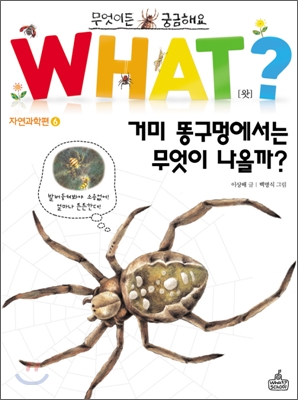 거미 똥구멍에서는 무엇이 나올까?