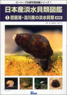 日本産淡水貝類圖鑑(1)琵琶湖.淀川産の淡水貝類 紀平肇
