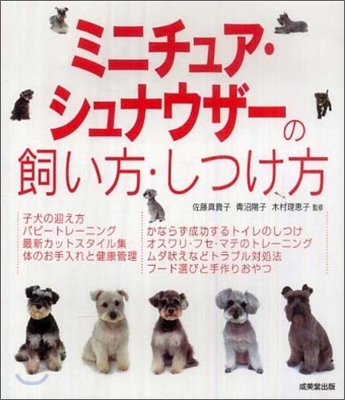 ミニチュア.シュナウザ-の飼い方.しつけ方