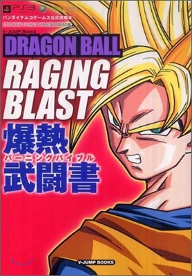 Dragon ball raging blast爆熱武鬪書