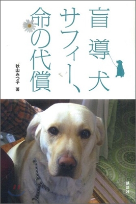 盲導犬サフィ-,命の代償