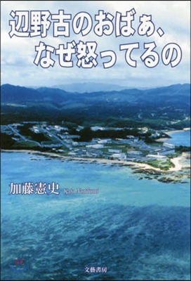 邊野古のおばぁ,なぜ怒ってるの