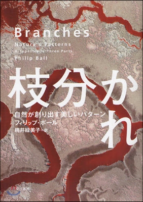 自然が創り出す美しいパタ-ン 枝分かれ