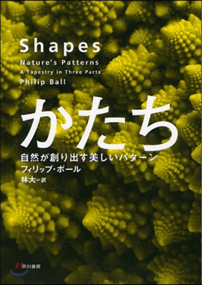 自然が創り出す美しいパタ-ン かたち