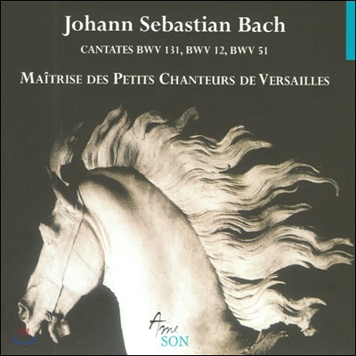 Maitrise Des Petits Chanteurs De Versailes 바흐: 칸타타 (J.S. Bach: Cantatas BWV131, 12, 51)