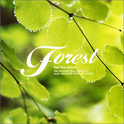 스트레스 해소 효과 - 숲 (Forest)