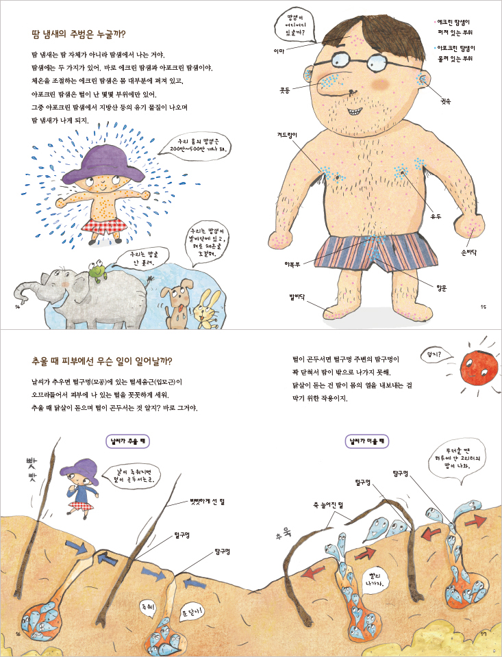 상세 이미지