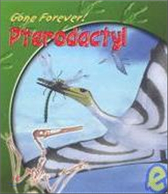 Pterodactyl