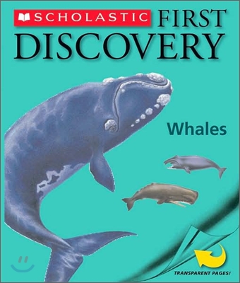 Whales