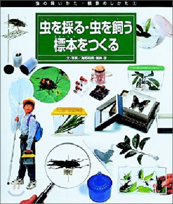 蟲を採る.蟲を飼う.標本をつくる