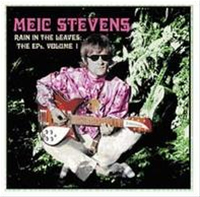 Meic Stevens - Leaves In The Rain... The Eps Vol.1