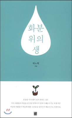 화분 위의 생