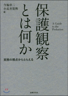 保護觀察とは何か－實務の視点からとらえる