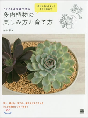 多肉植物の樂しみ方と育て方