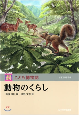 動物のくらし こども博物誌第1回