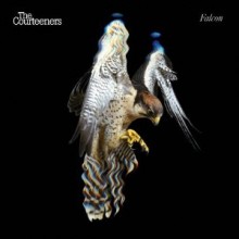 Courteeners - Falcon