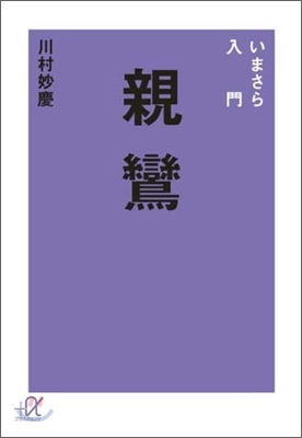 いまさら入門親鸞