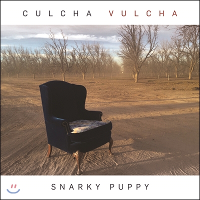 Snarky Puppy (스나키 퍼피) - Culcha Vulcha