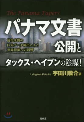 パナマ文書公開とタックス.ヘイブンの陰謀