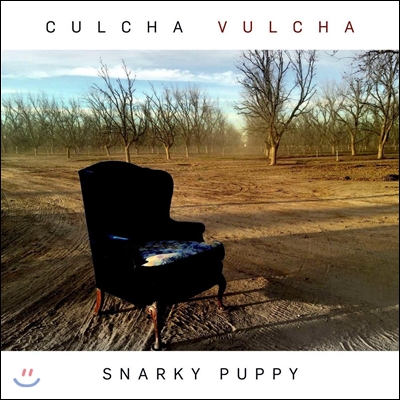 Snarky Puppy (스나키 퍼피) - Culcha Vulcha