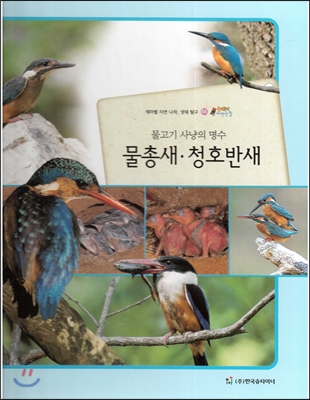 올빼미 자연관찰 64 물고기 사냥의 명수 물총새, 청호반새 (조류) 