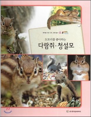 올빼미 자연관찰 45 도토리를 좋아하는 다람쥐, 청설모 (포유류) 
