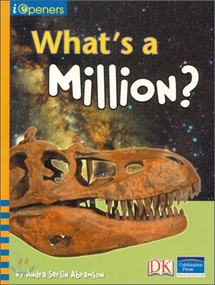 I Openers Math Grade 4 : What&#39;s a Million?