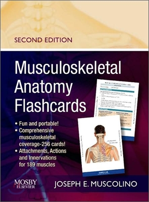 Musculoskeletal Anatomy Flashcards