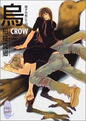 硝子の街にて(10)烏 CROW