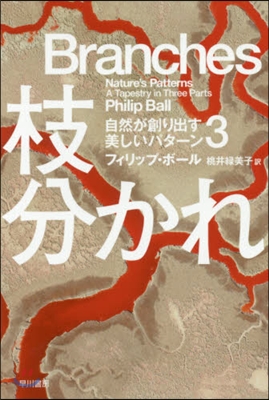 自然が創り出す美しいパタ-ン(3)枝分かれ