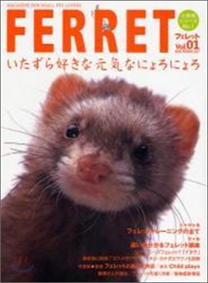 フェレット Vol.1