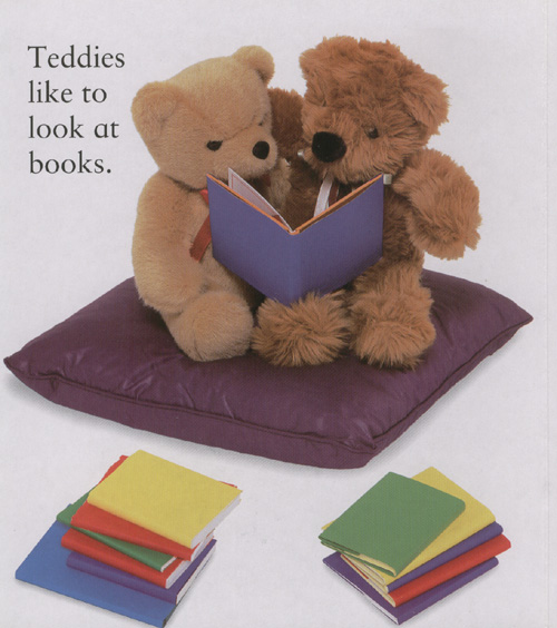 A Very First Picture Book : Teddy Bears