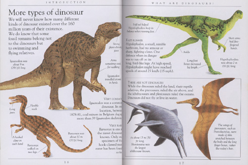 Pockets : Dinosaurs