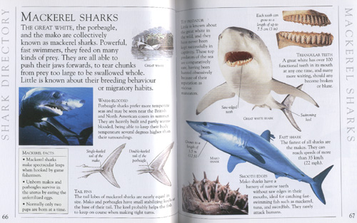 Backpack Books : 1001 Facts About Sharks