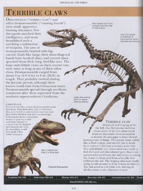 Encyclopedia of Dinosaurs and Prehistoric Life