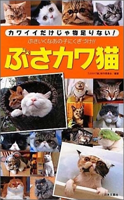 ぶさカワ猫