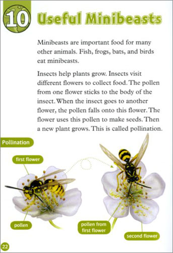 Read and Discover 3: Amazing Minibeasts (with MP3)
