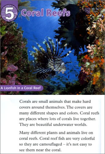 Oxford Read and Discover 4 : All About Ocean Life (Book & CD)