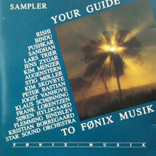 V.A. - Sampler - Your Guide to Fonix Musik (수입)