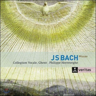 Philippe Herreweghe 바흐: 미사 (Bach: Masses BWV233-236)