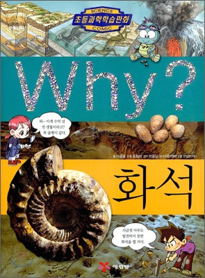 Why? 와이 화석