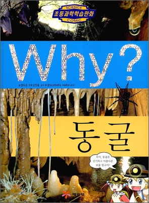 Why? 와이 동굴