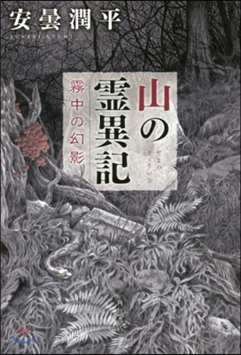 山の靈異記 霧中の幻影